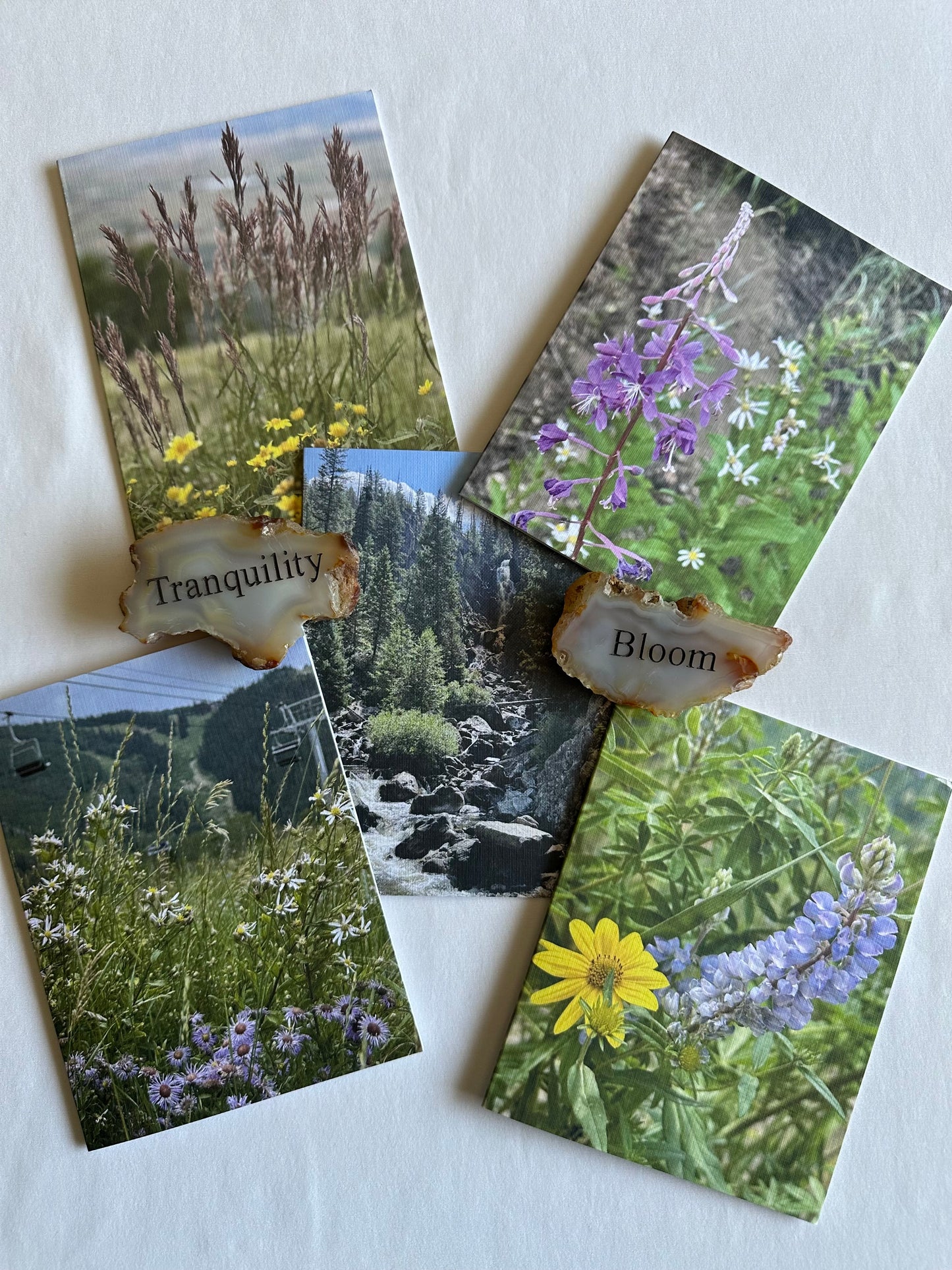 Steamboat Springs Original Nature Photography Greeting Card Boxed Set of 5 with White Envelopes