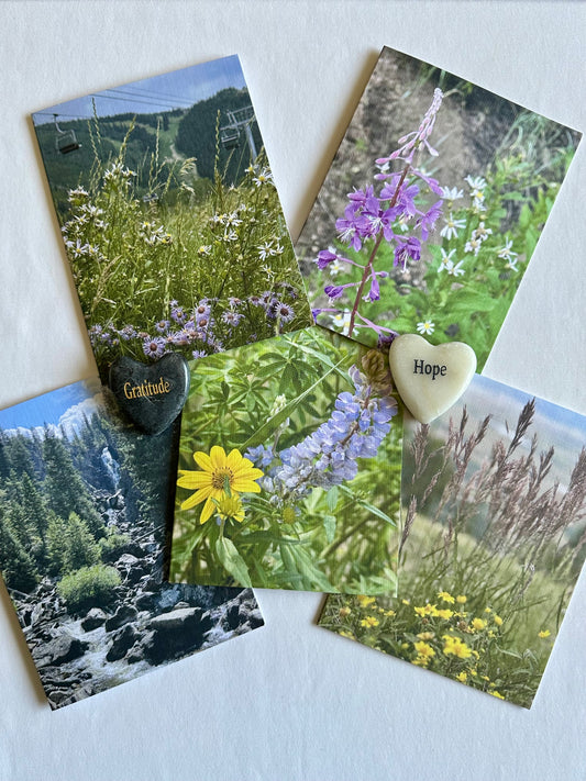 Steamboat Springs Original Nature Photography Greeting Card Boxed Set of 5 with White Envelopes
