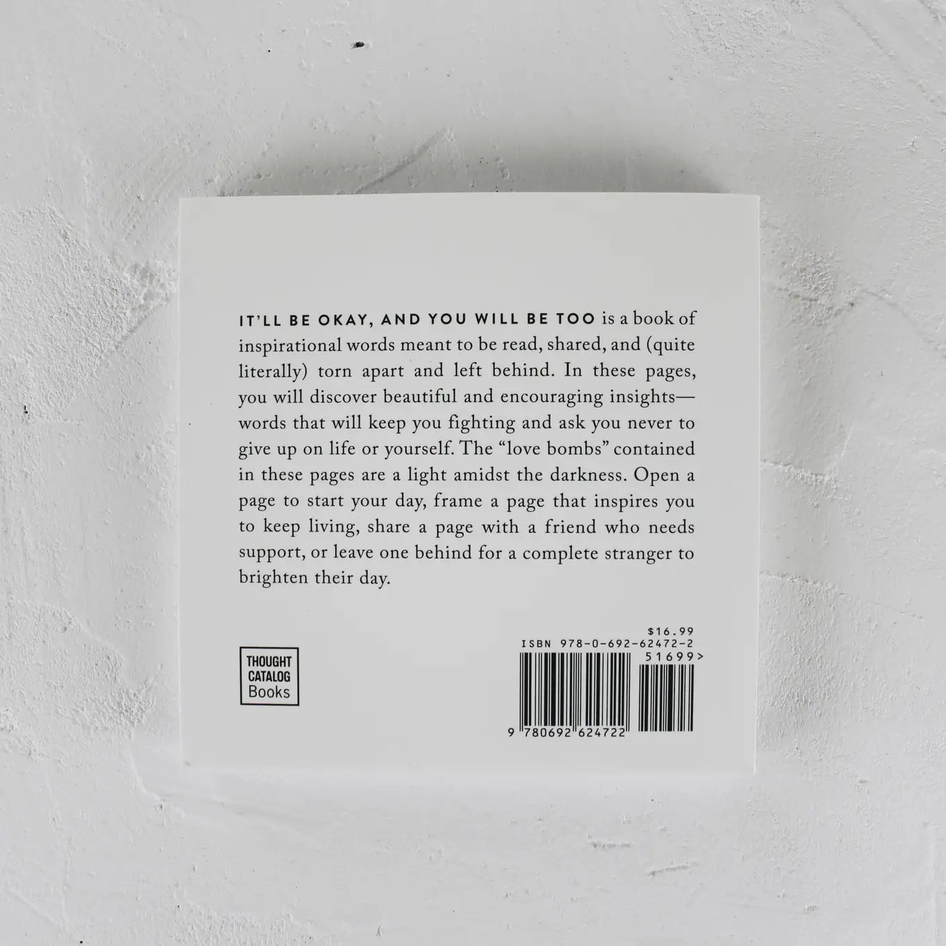 It'll be Okay and You Will be Too Book