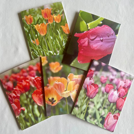 Tulip Delights Original Nature Photography Greeting Card Boxed Set of 5 with White Envelopes