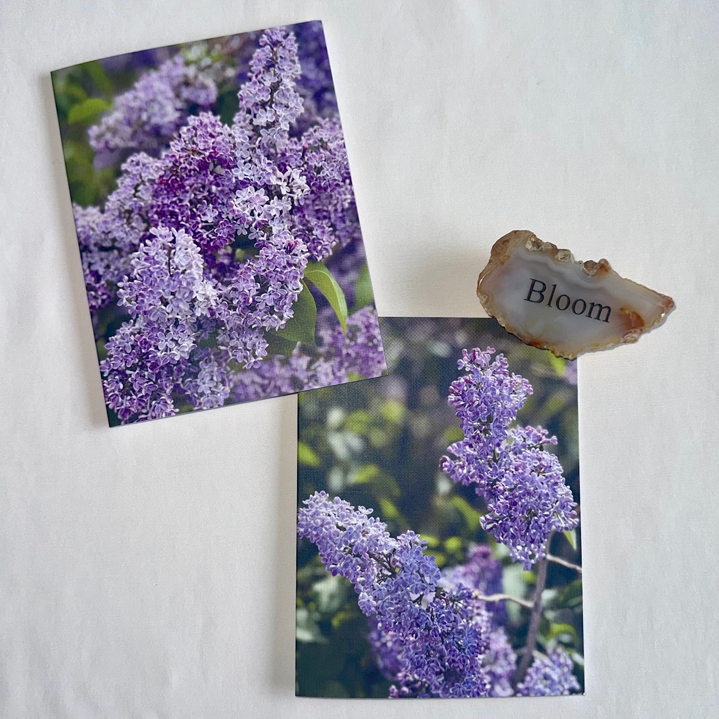Luscious Lilacs Original Nature Photography Greeting Card Set of Two with White Envelopes