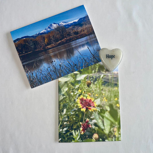 Rocky Mountain Wildflower Magic Original Nature Photography Greeting Card Set of 2 with White Envelopes
