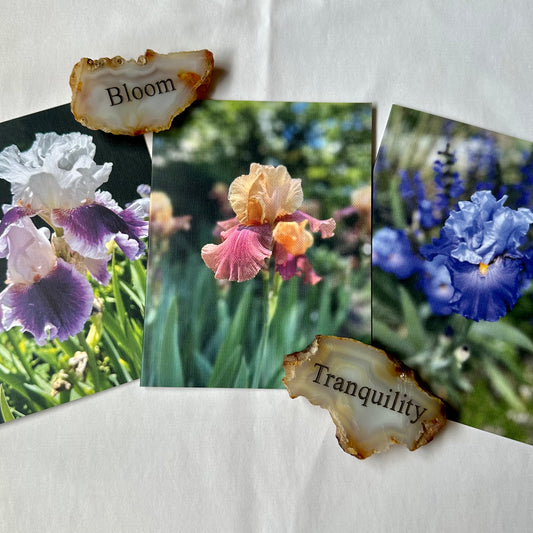 Irises Original Nature Photography Greeting Card Set of 3 with Kraft Envelopes