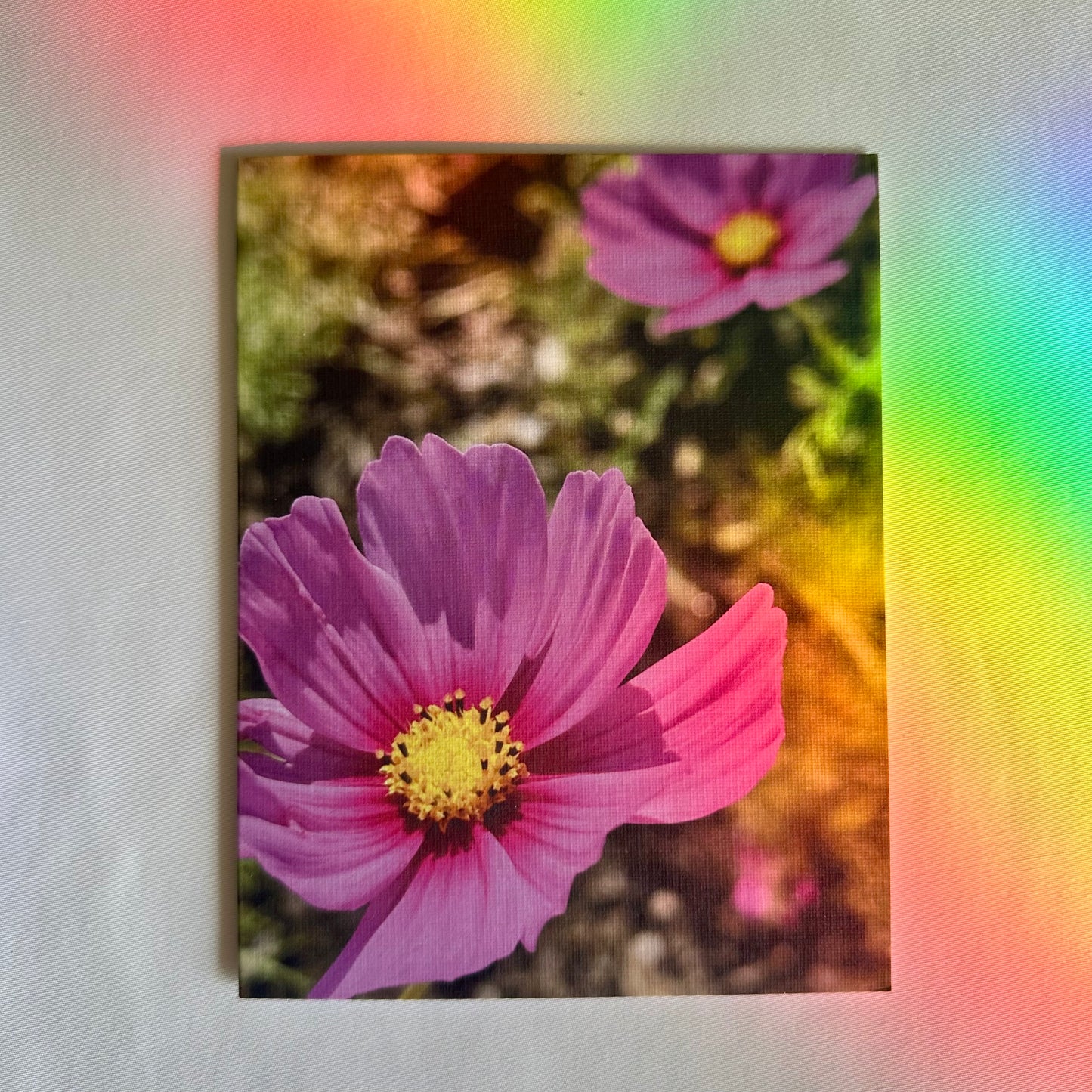 Gentle Wishes Original Nature Photography Set of Two Greeting Cards with White Envelopes