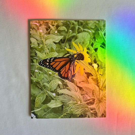 Butterfly Delight Set of Two Original Photography Greeting Cards with White Envelopes