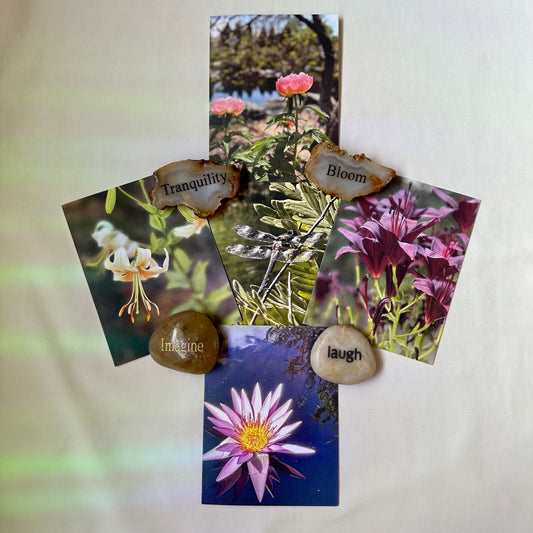 Nature Treasures Original Nature Photography Greeting Cards W/Kraft Envelopes