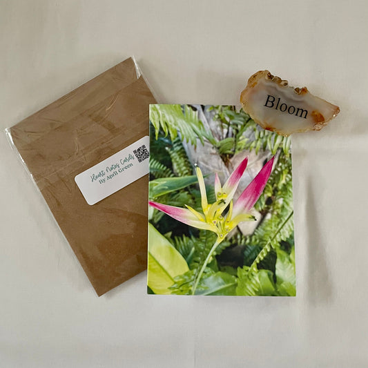 Bird of Paradise Original Photography Greeting Card with Kraft Envelope
