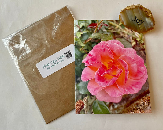 Brilliant Pink and Yellow Rose of Light Original Photography Greeting Card with Kraft