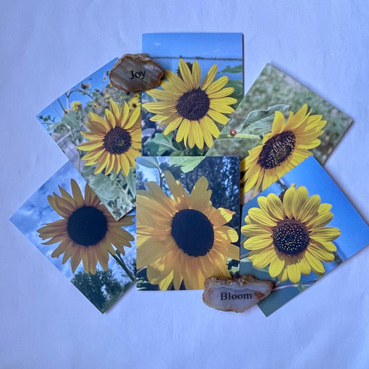 Sunflowers Set of 6 Greeting Cards With Kraft or White Envelopes