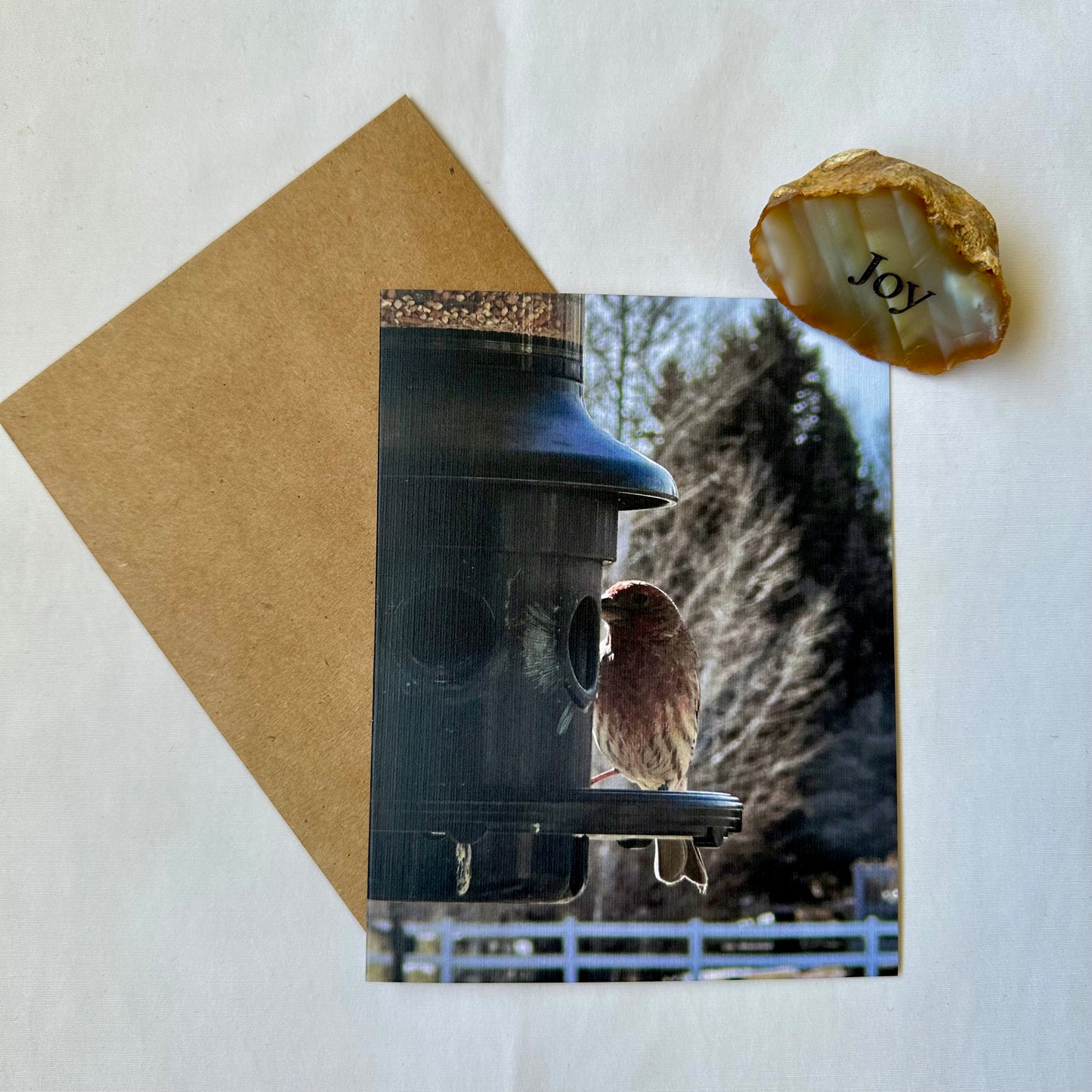 Birds & Bees Original Photography Greeting Card with Kraft Envelope(s)