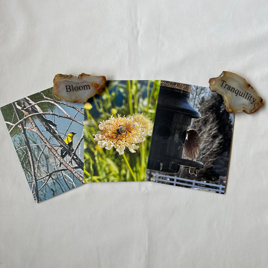 Birds & Bees Original Photography Greeting Card with Kraft Envelope(s)