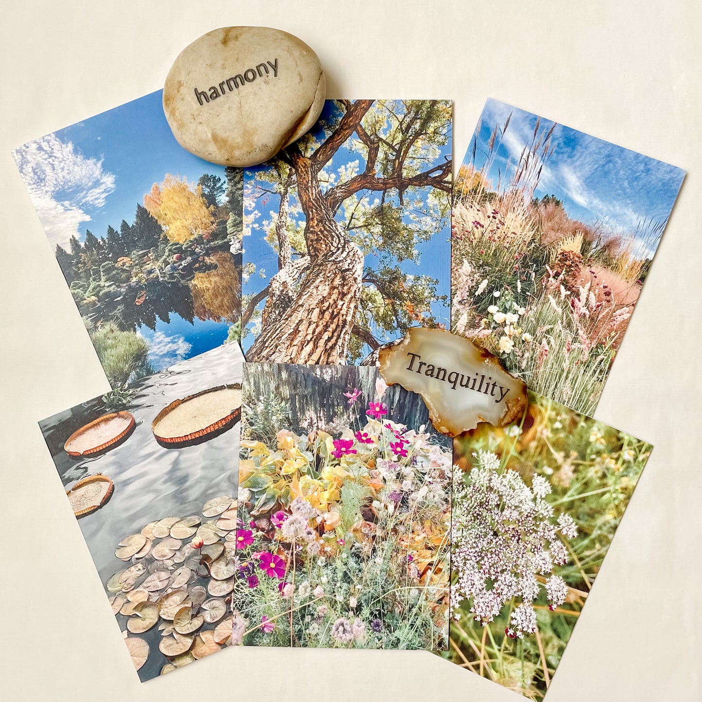 Nature Gratitude Collection Set of 6 Original Photography Greeting Cards with Kraft Envelopes