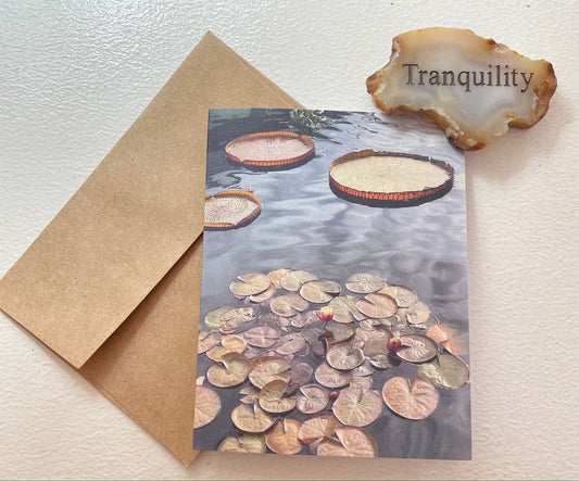 Lily Pads With Water Lilies Nature Original Photography Single Greeting Card with Kraft Envelope