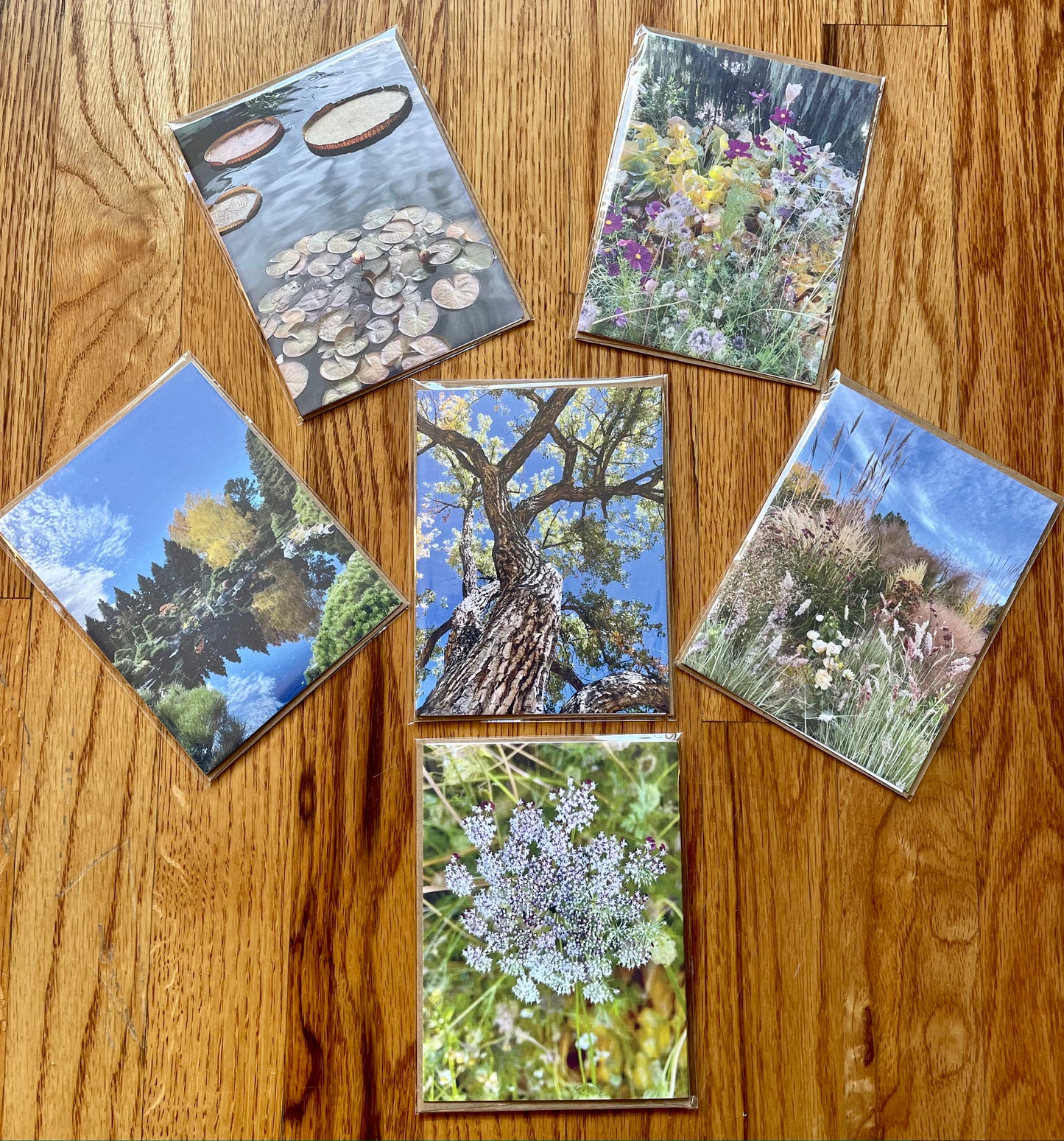 Nature Gratitude Collection Set of 6 Original Photography Greeting Cards with Kraft Envelopes