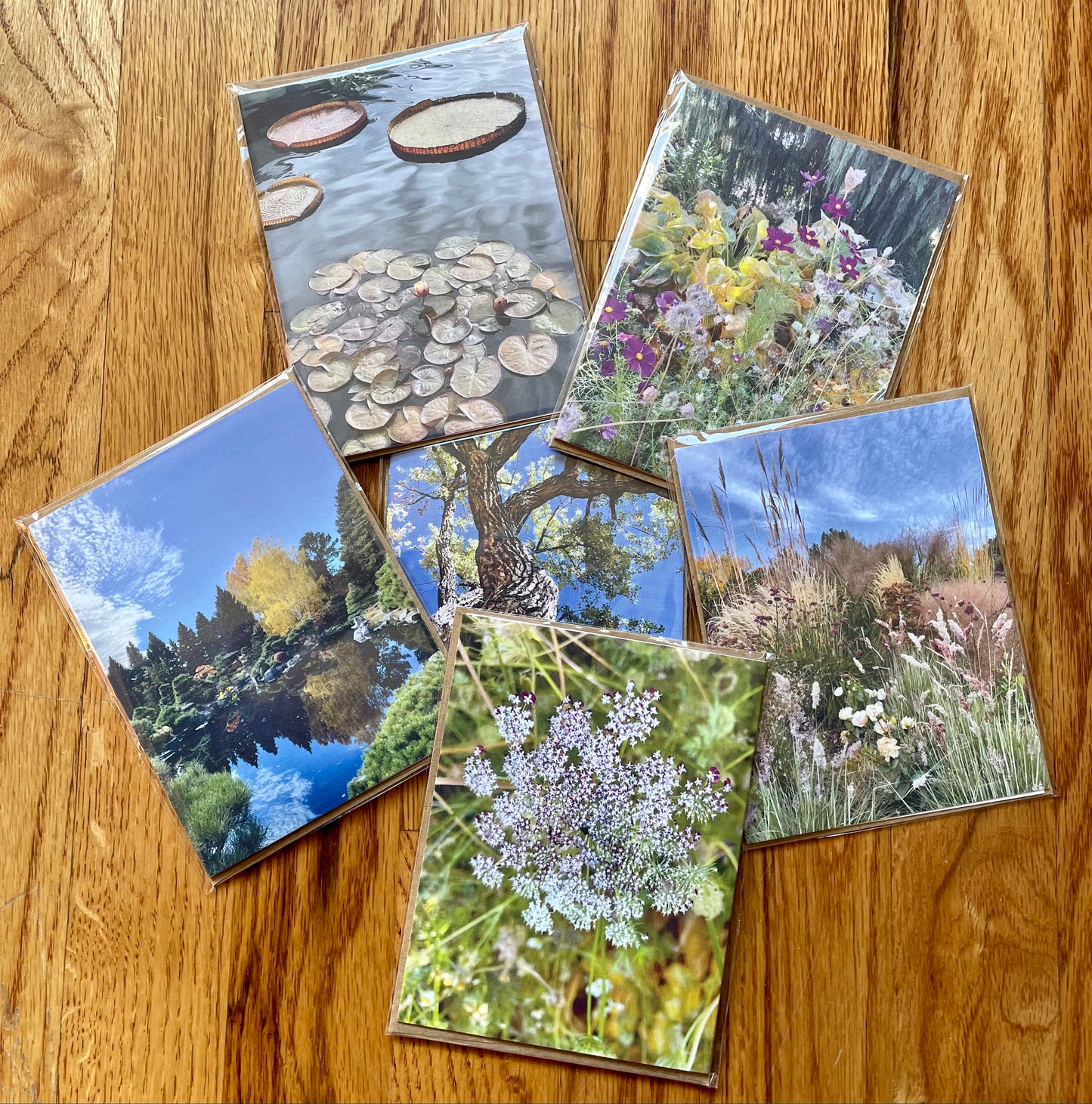 Nature Gratitude Collection Set of 6 Original Photography Greeting Cards with Kraft Envelopes