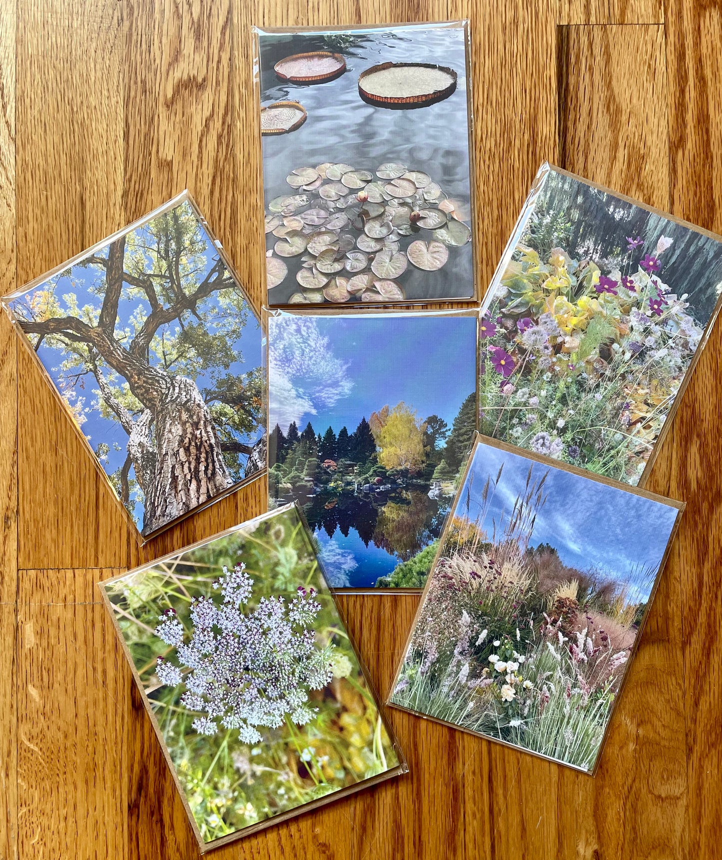 Nature Gratitude Collection Set of 6 Original Photography Greeting Cards with Kraft Envelopes