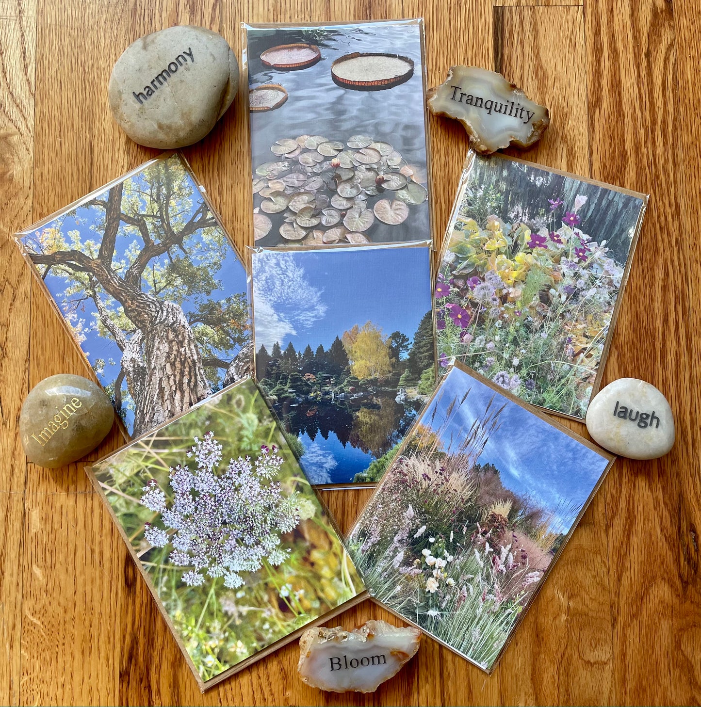 Nature Gratitude Collection Set of 6 Original Photography Greeting Cards with Kraft Envelopes
