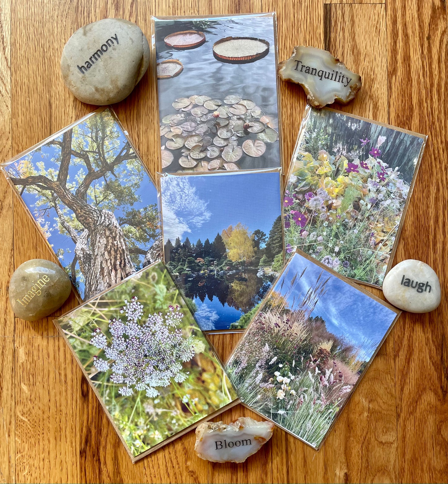 Nature Gratitude Collection Set of 6 Original Photography Greeting Cards with Kraft Envelopes