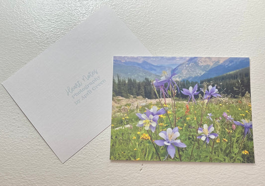 Colorado Nature Set of 3 Original Photography Prints