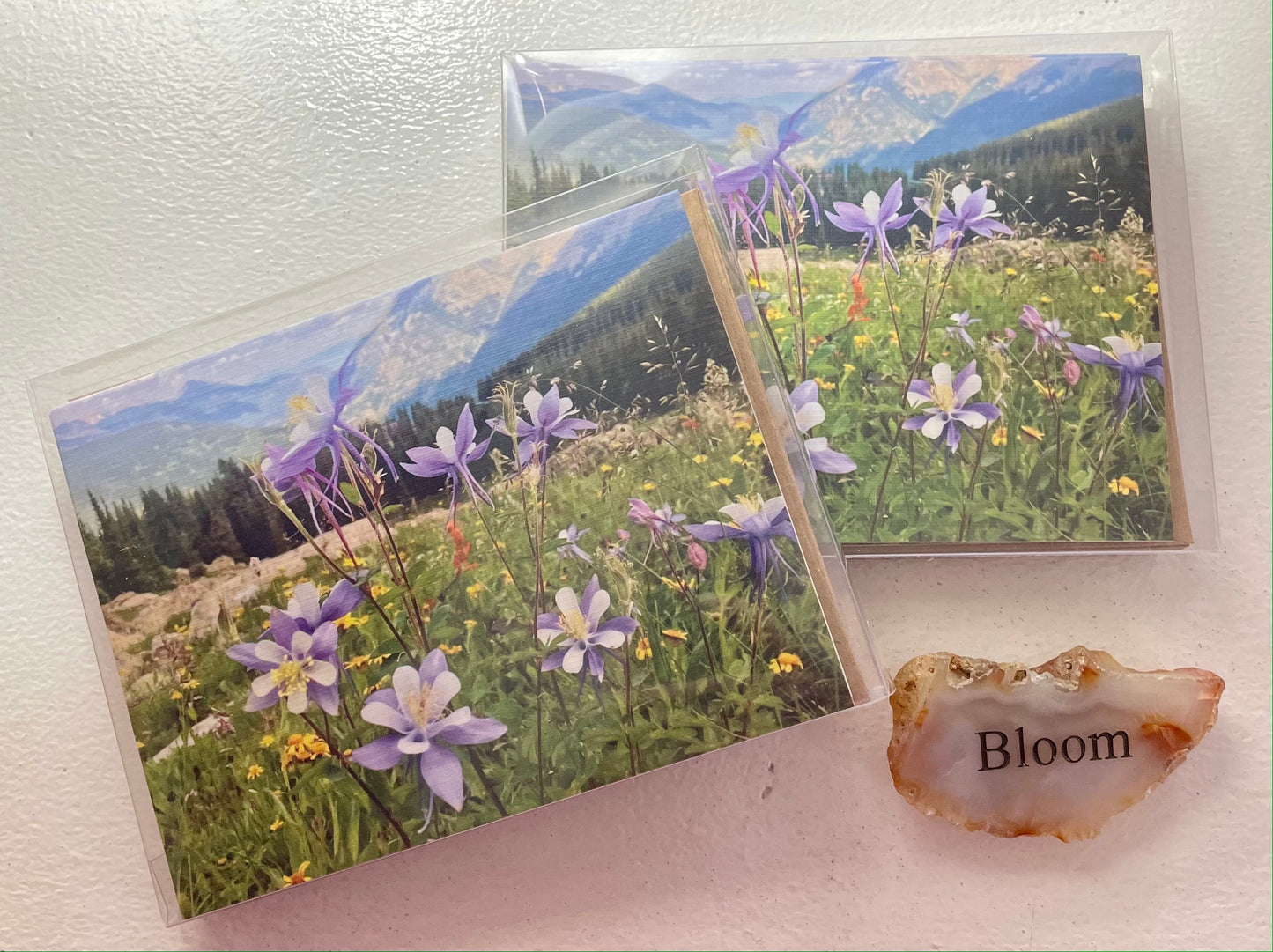 Colorado Columbines Original Photography Greeting Card with Traditional White Envelope