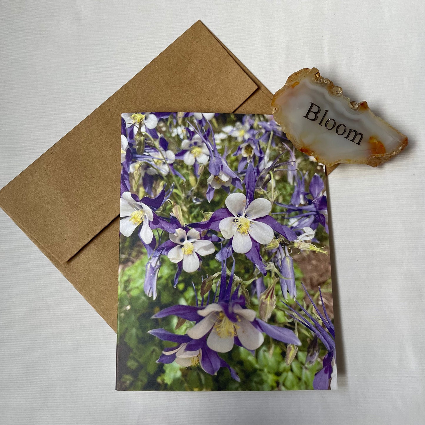 Rocky Mountain Summer Collection Original Nature Photography Greeting Card Set of 4 with Kraft Envelopes