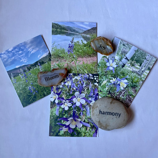 Rocky Mountain Summer Collection Original Nature Photography Greeting Card Set of 4 with Kraft Envelopes
