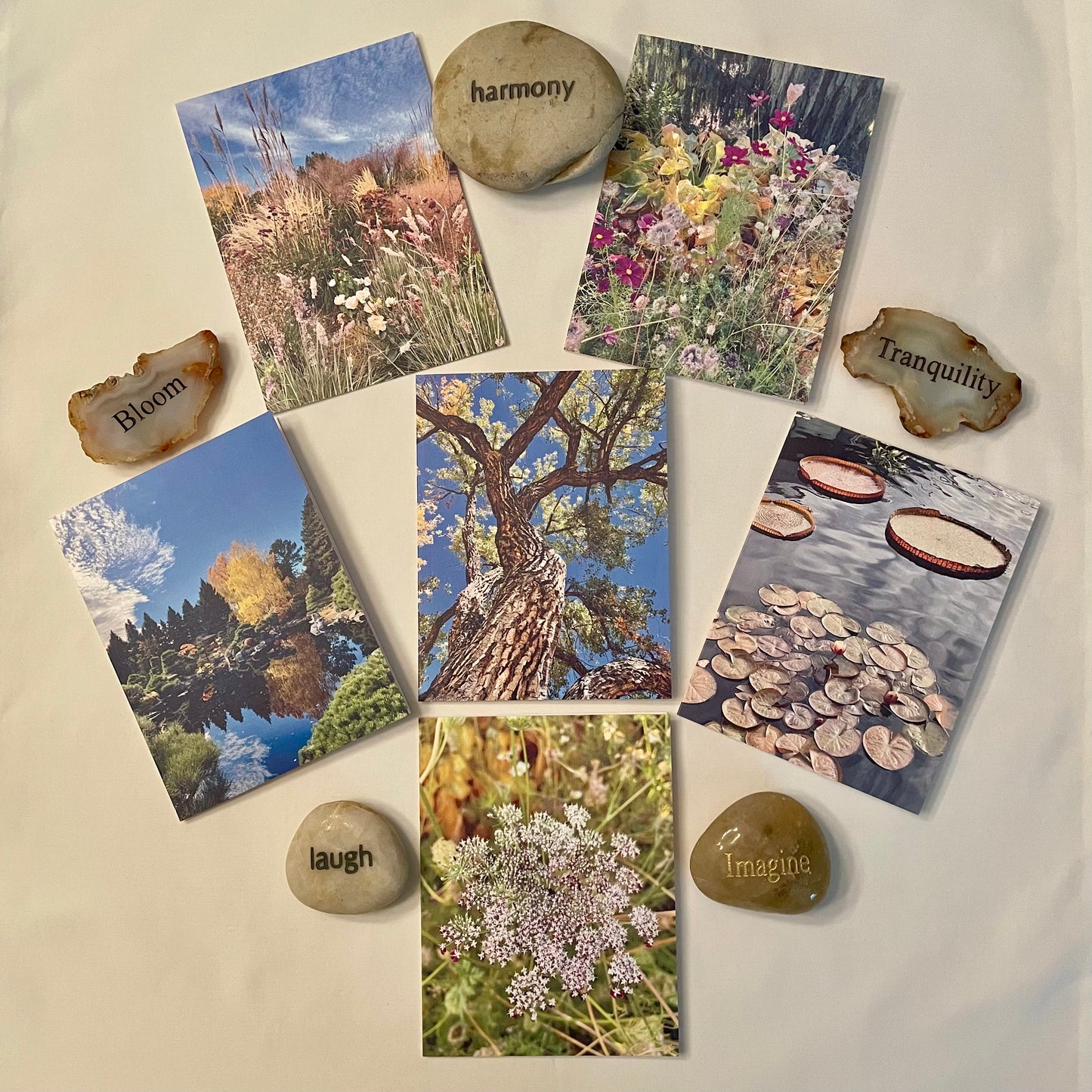 Nature Gratitude Collection Set of 6 Original Photography Greeting Cards with Kraft Envelopes