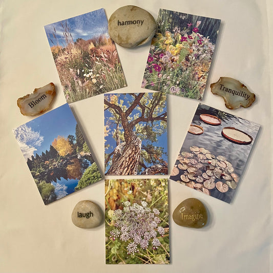 Nature Gratitude Collection Set of 6 Original Photography Greeting Cards with Kraft Envelopes