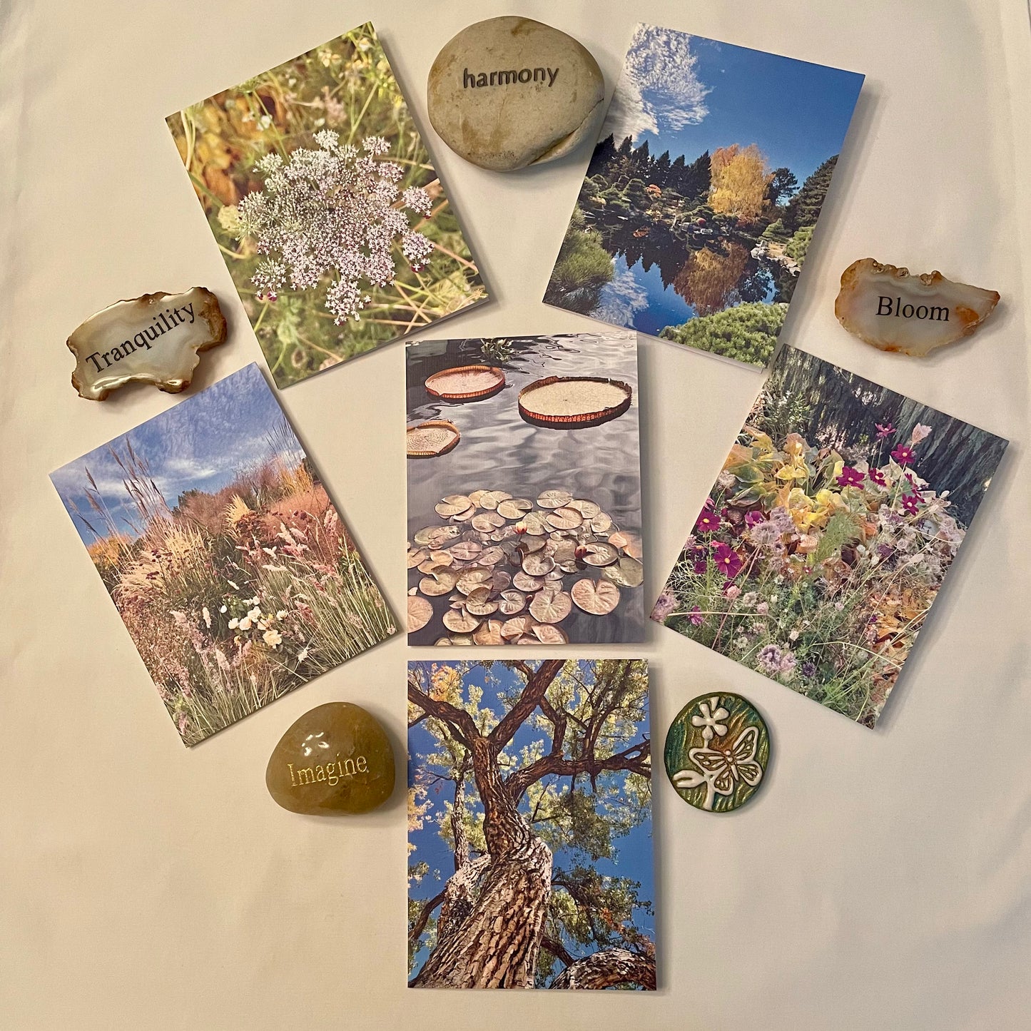 Nature Gratitude Collection Set of 6 Original Photography Greeting Cards with Kraft Envelopes