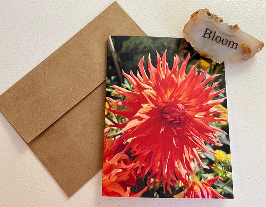 Dahlia Photography Greeting Card With Kraft Envelope