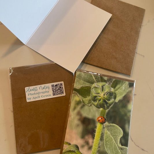 Ladybug On Sunflower Stem Greeting Card With Kraft Envelope