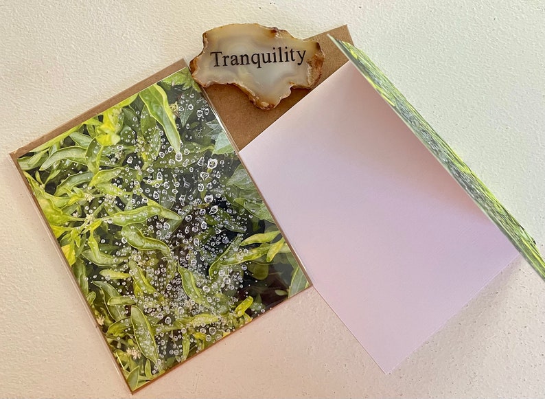 Water Droplets On Web Nature Photography Greeting Card With Kraft Envelope