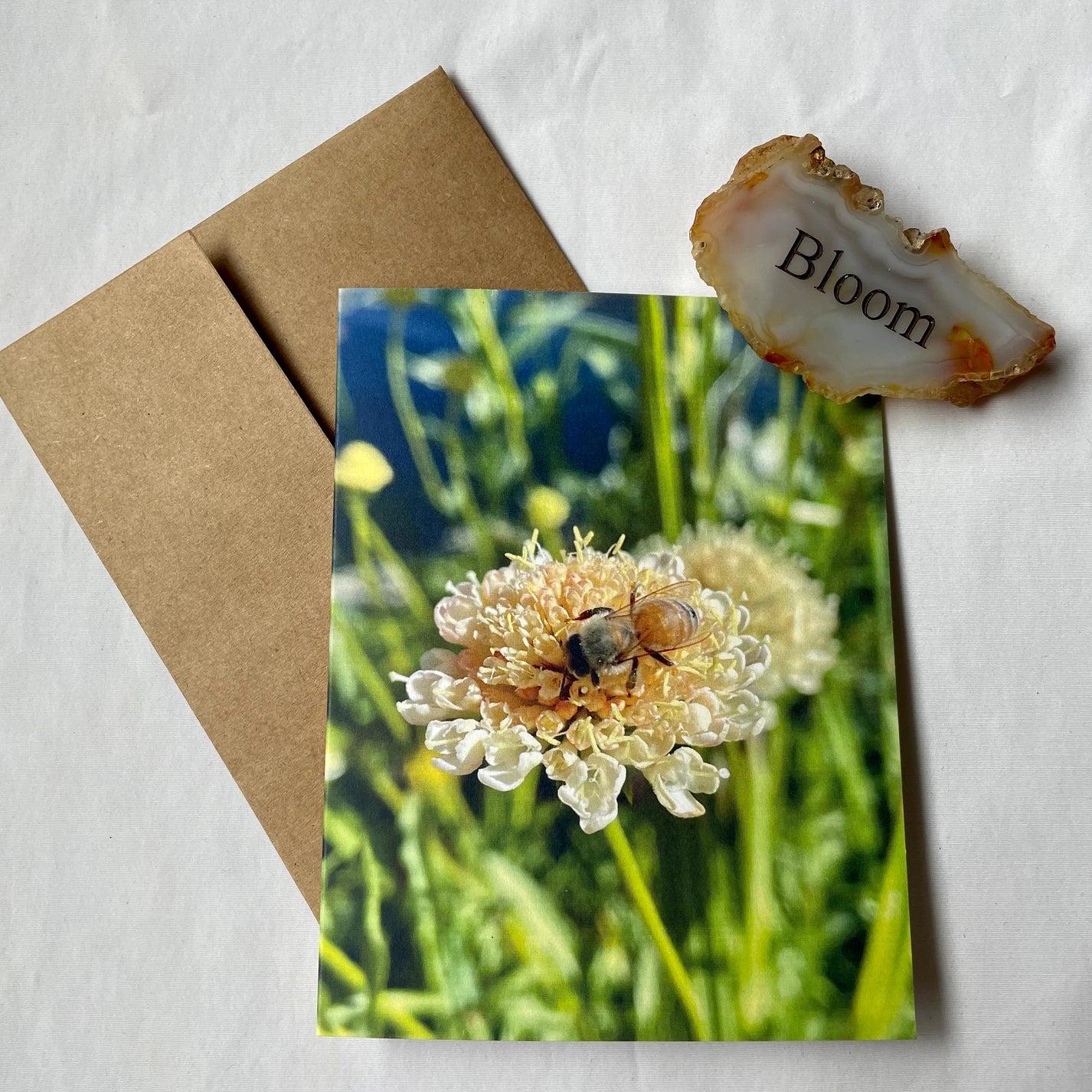 Birds & Bees Original Photography Greeting Card with Kraft Envelope(s)