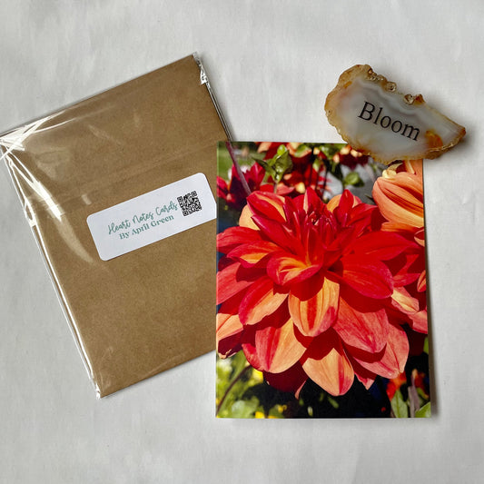 Radiant Red & Orange Dahlia Original Photography Greeting Card with Kraft Envelope