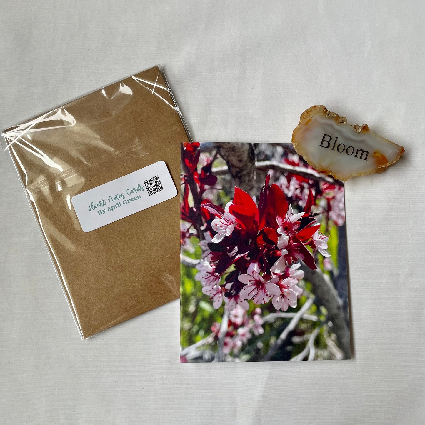 Celebration Blossoms Original Photography Greeting Card with Kraft Envelope