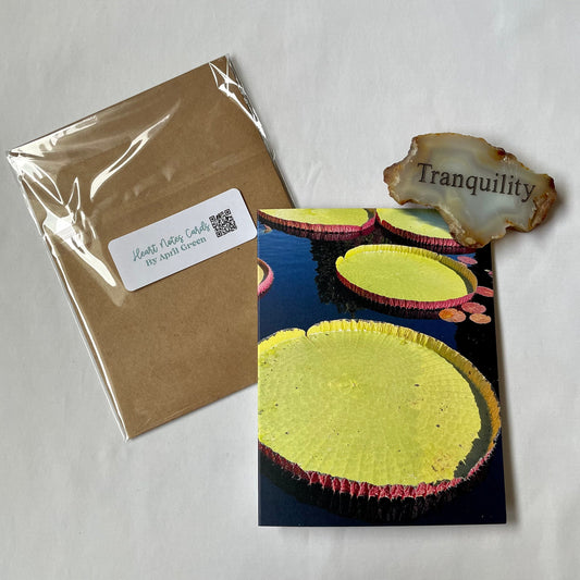 Giant Amazon Lily Pads Original Photography Greeting Card with Kraft Envelope