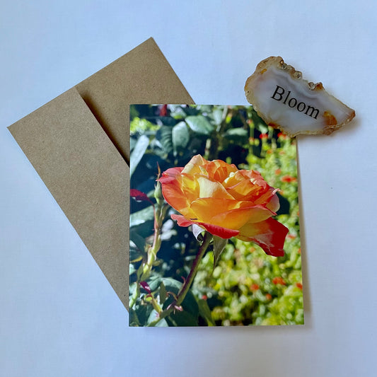 Sorbet Delight and Sunburst Roses Original Photography Greeting Card with Kraft Envelope(s)