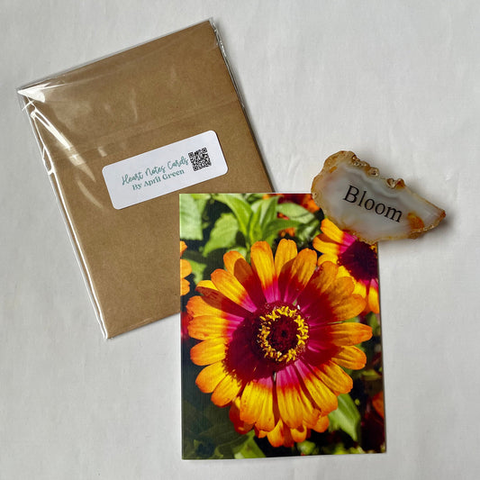 Dynamite Daisy Original Photography Greeting Card with Kraft Envelope