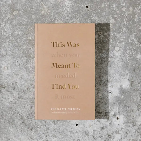 Meant To Find You Book