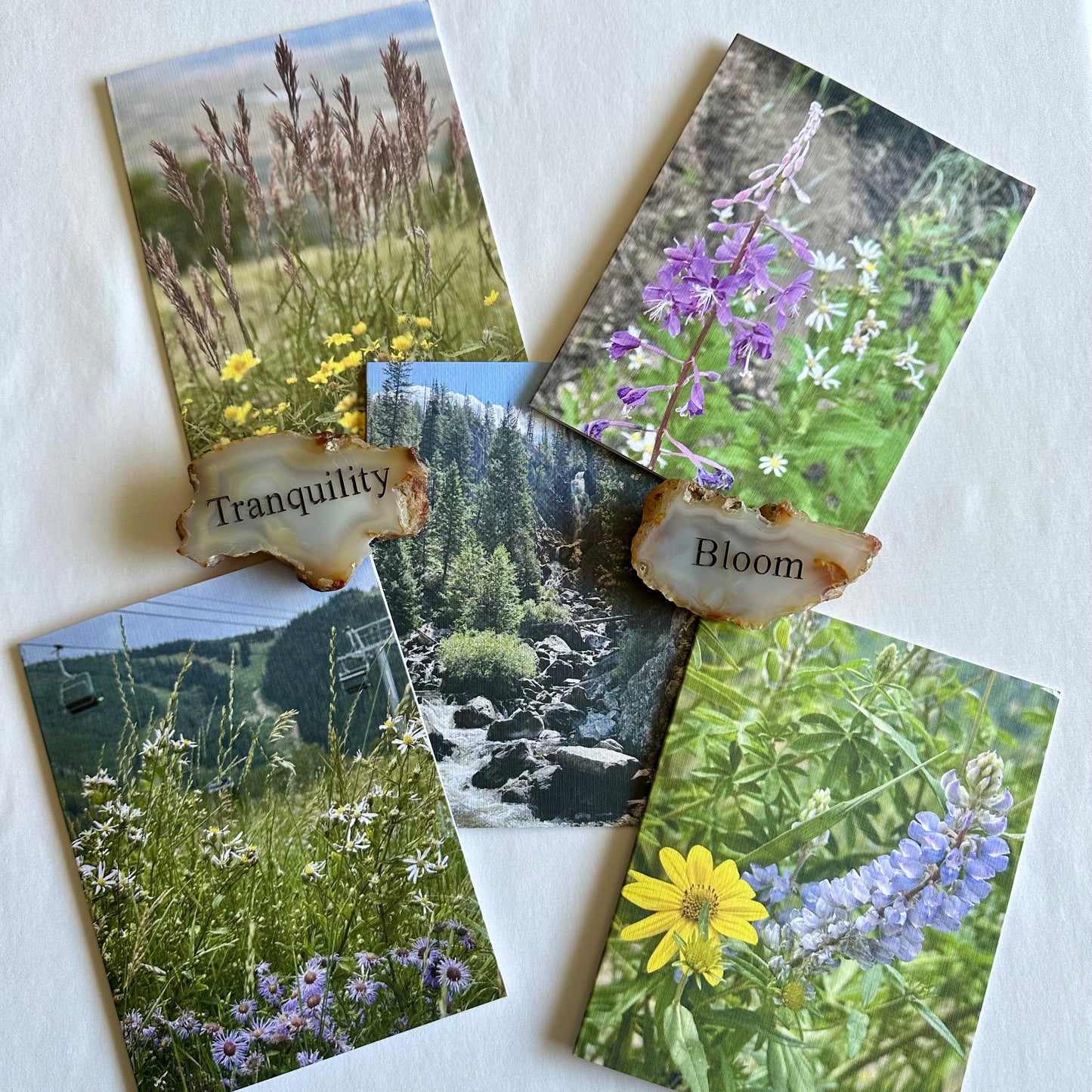 Steamboat Springs Original Nature Photography Greeting Card Boxed Set of 5 with White Envelopes