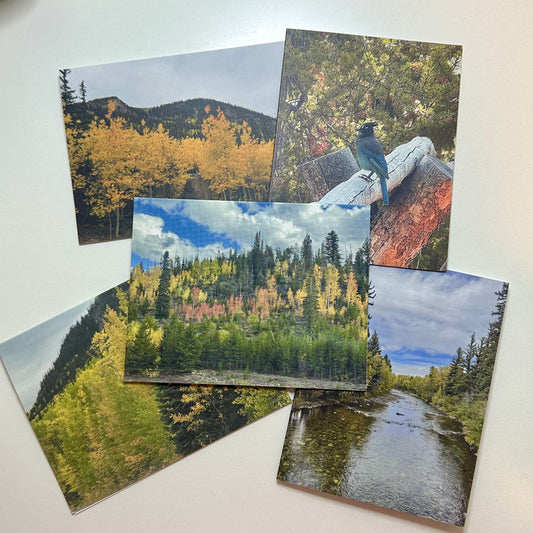 Colors of Colorado Original Nature Photography Greeting Card Boxed Set of 5 with White Envelopes