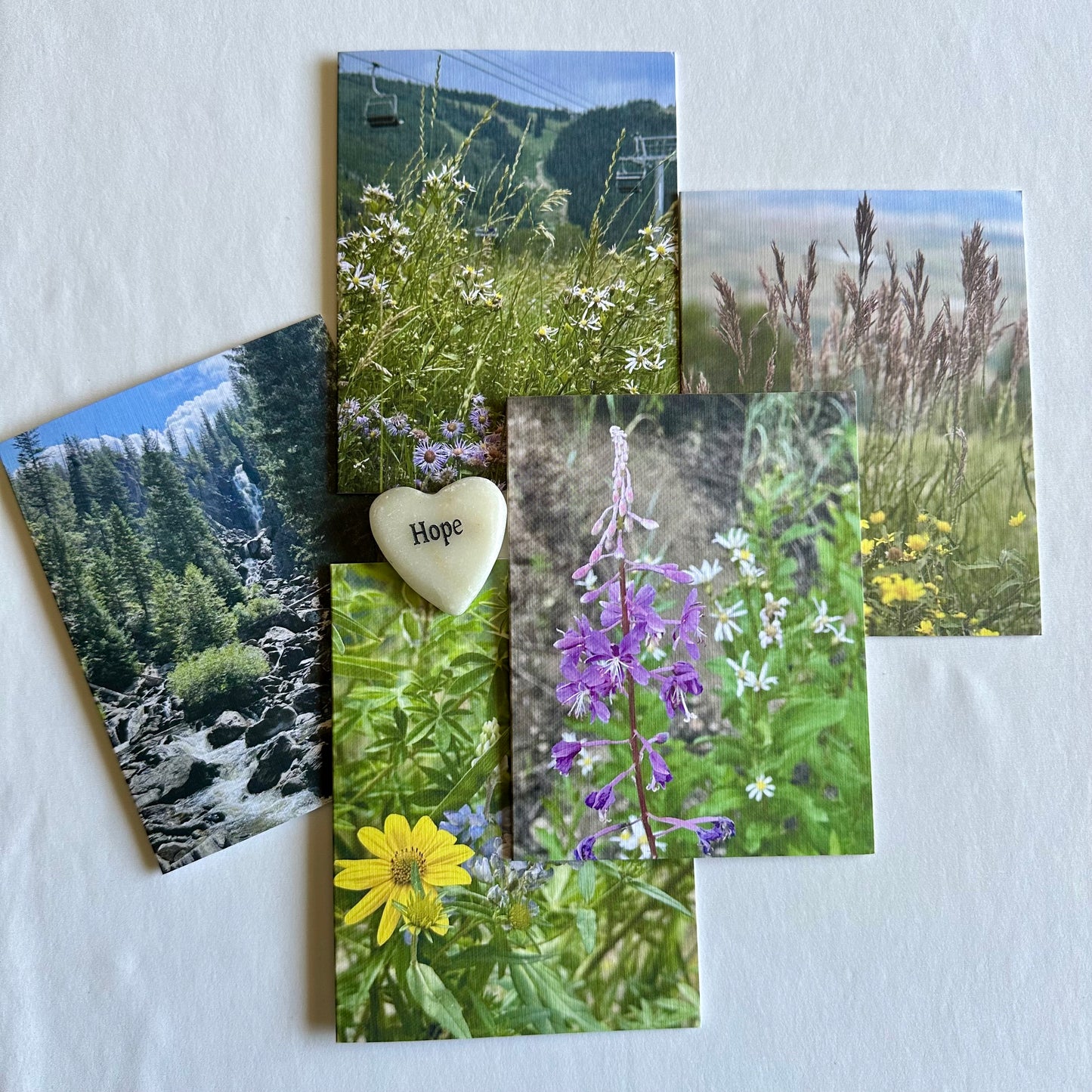 Steamboat Springs Original Nature Photography Greeting Card Boxed Set of 5 with White Envelopes