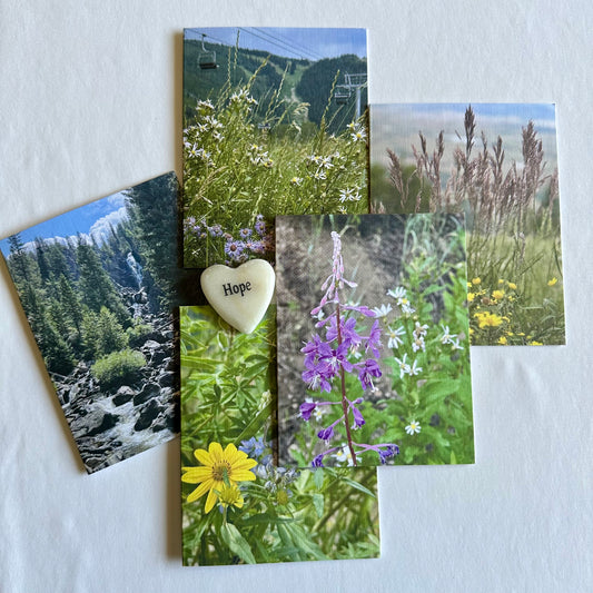 Steamboat Springs Original Nature Photography Greeting Card Boxed Set of 5 with White Envelopes