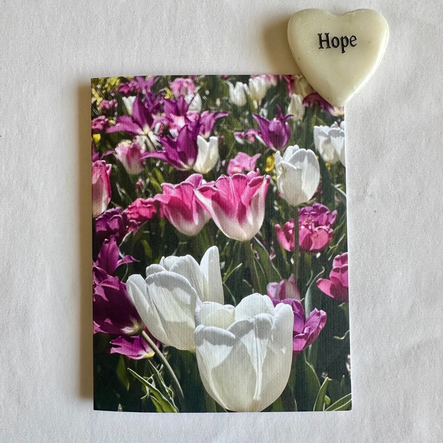 Spring Blossoms Original Nature Photography Greeting Cards with White Envelopes