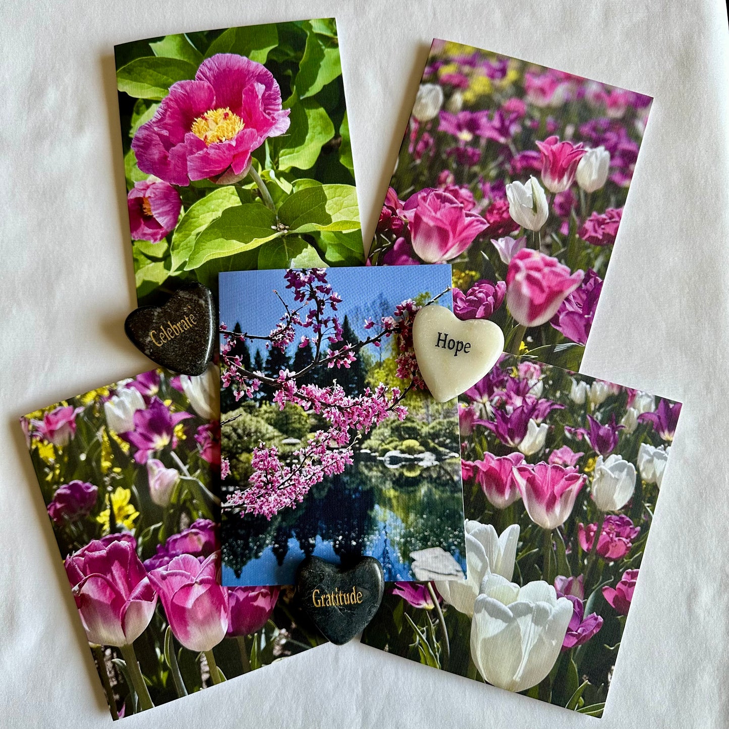 Spring Blossoms Original Nature Photography Greeting Cards with White Envelopes