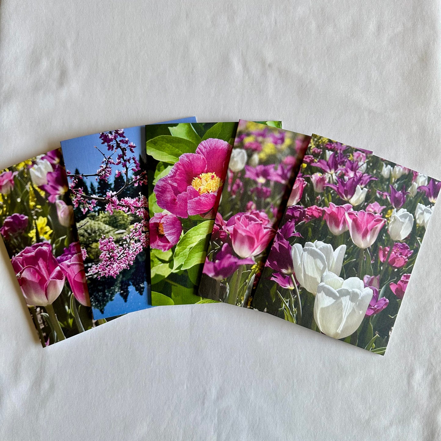 Spring Blossoms Original Nature Photography Greeting Cards with White Envelopes