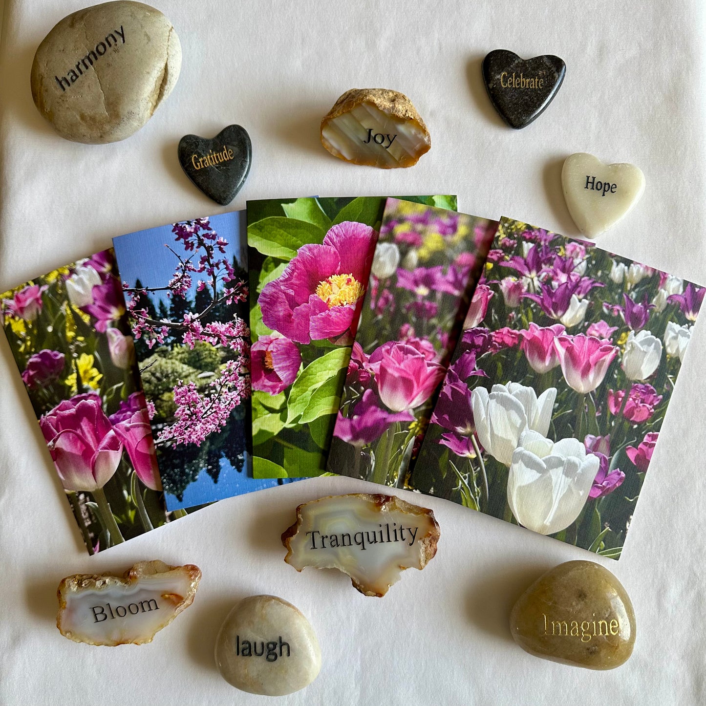 Spring Blossoms Original Nature Photography Greeting Cards with White Envelopes