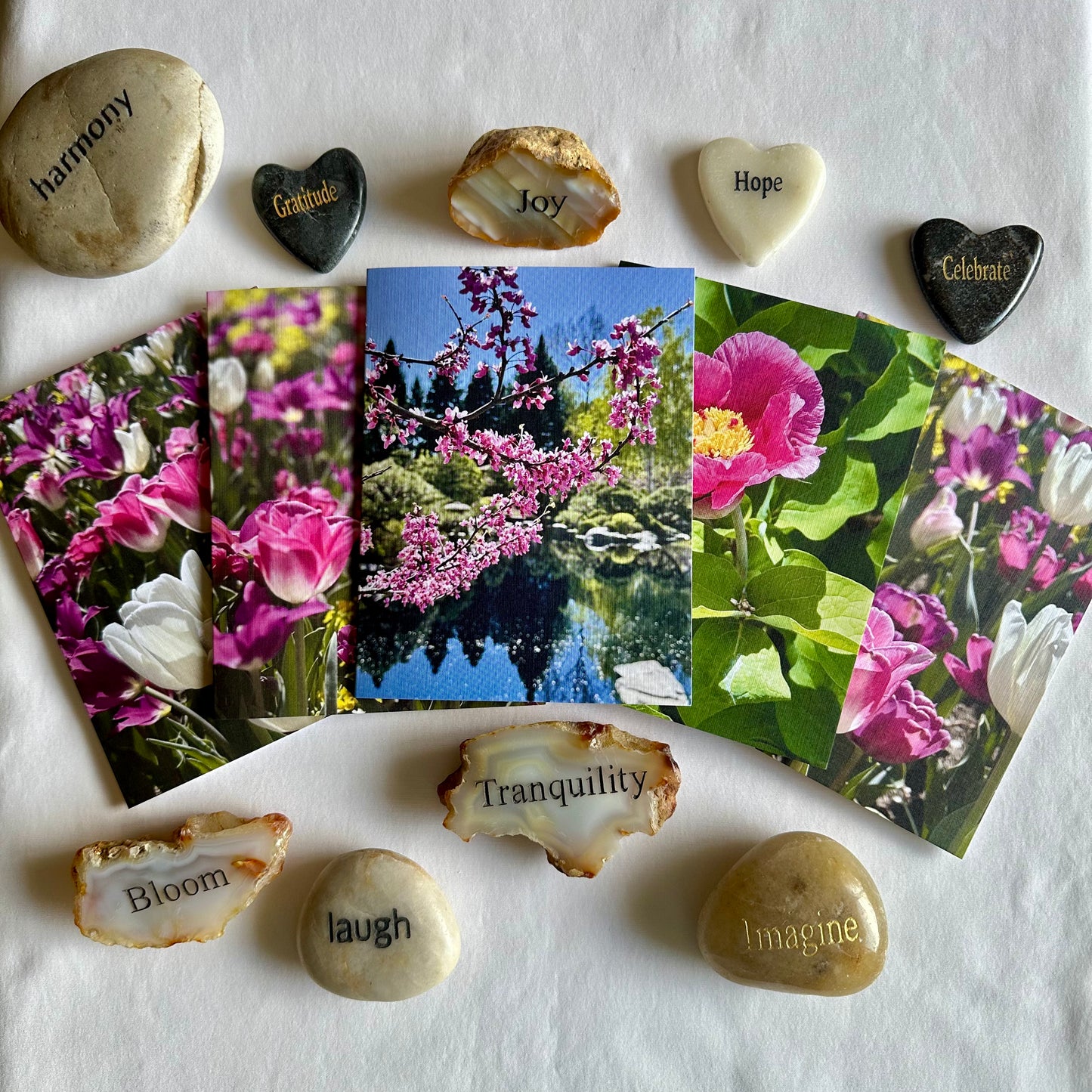 Spring Blossoms Original Nature Photography Greeting Cards with White Envelopes