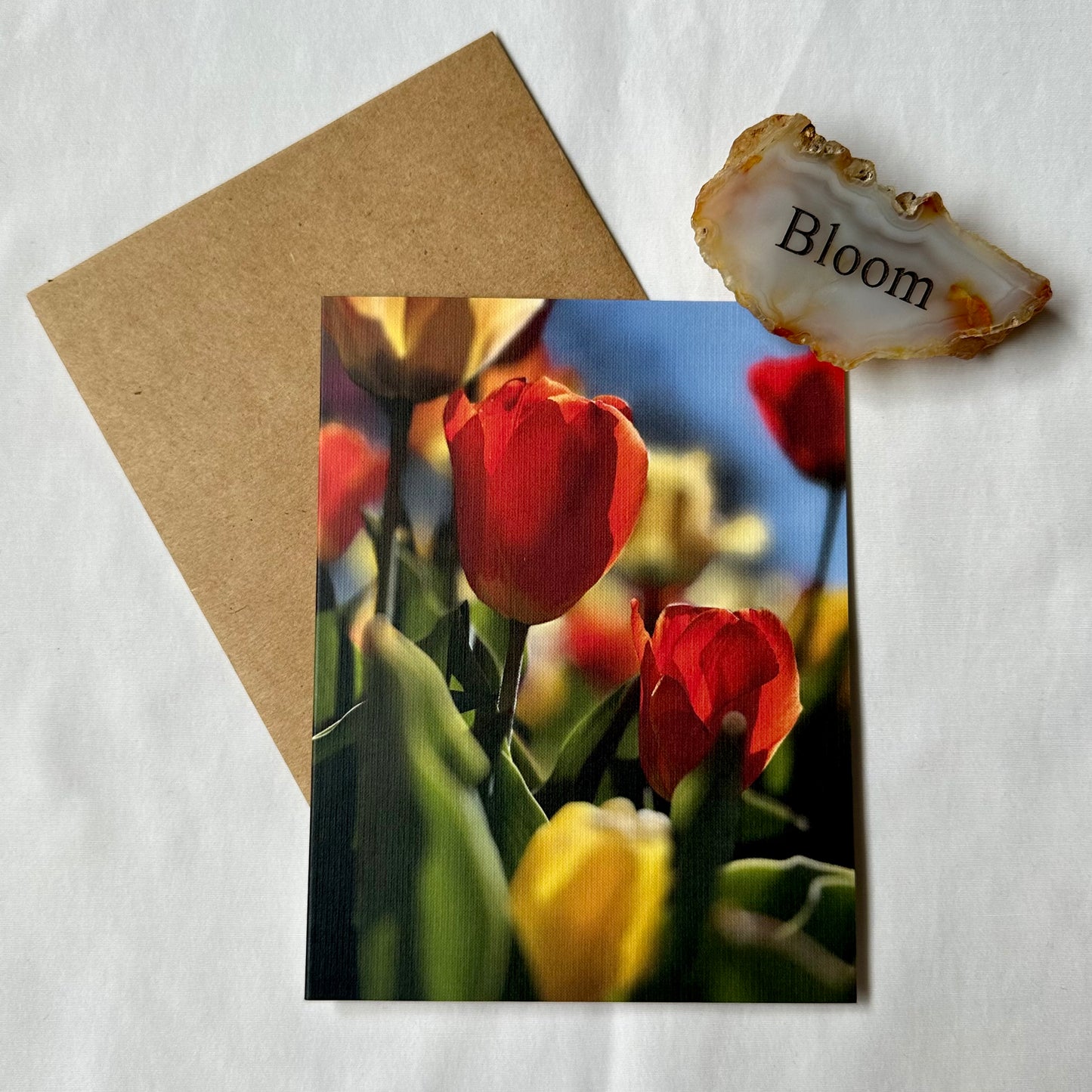 Timeless Tulips Original Nature Photography Greeting Card Set of 2 with Kraft Envelopes