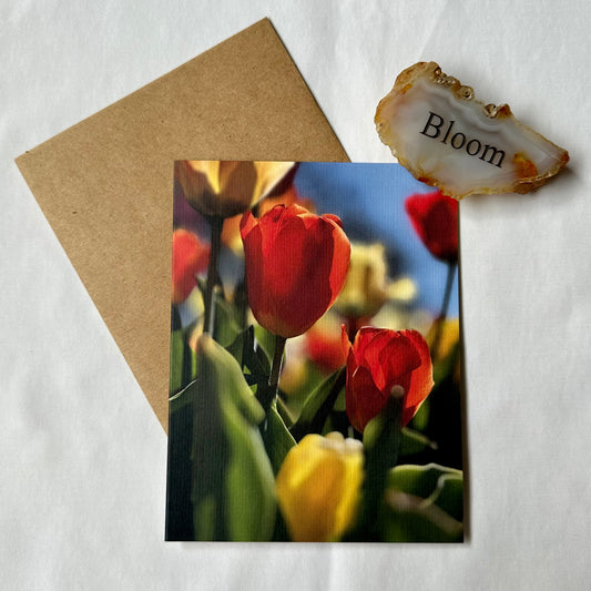 Timeless Tulips Red & Yellow Original Photography Single Nature Greeting Card with Kraft Envelope